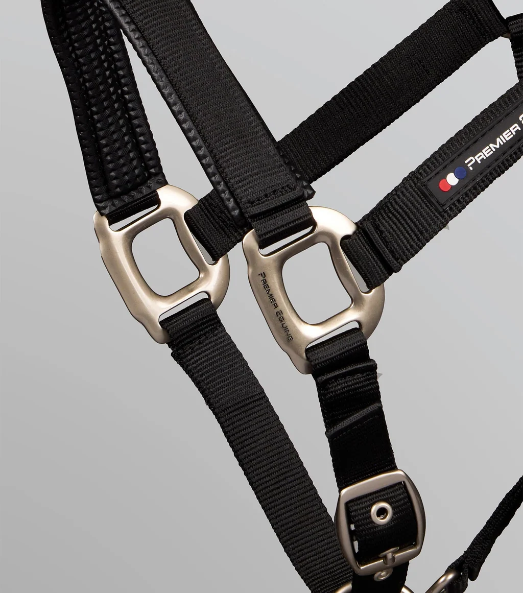Plain Padded Head Collar with Lead Rope