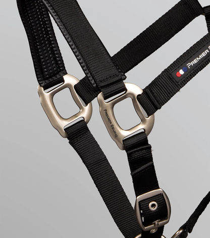 Plain Padded Head Collar with Lead Rope