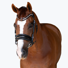 Load image into Gallery viewer, Ariana Bridle (Cavesson) (No reins)