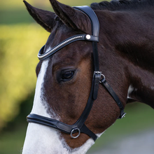 Load image into Gallery viewer, Santiago Bitless Bridle (No reins)