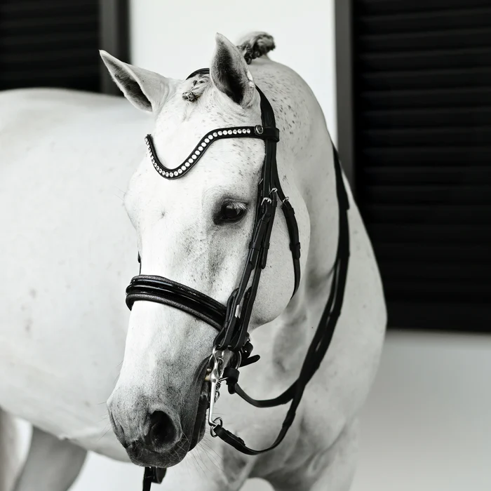 Saphira Bridle (Double) (No reins)