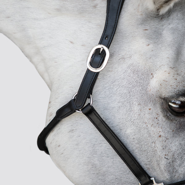 Perseus Leather Halter