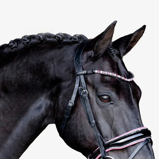 Paloma Bridle (Hanoverian) (No reins)