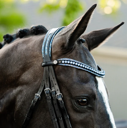 Paris Bridle (Double) (No reins)