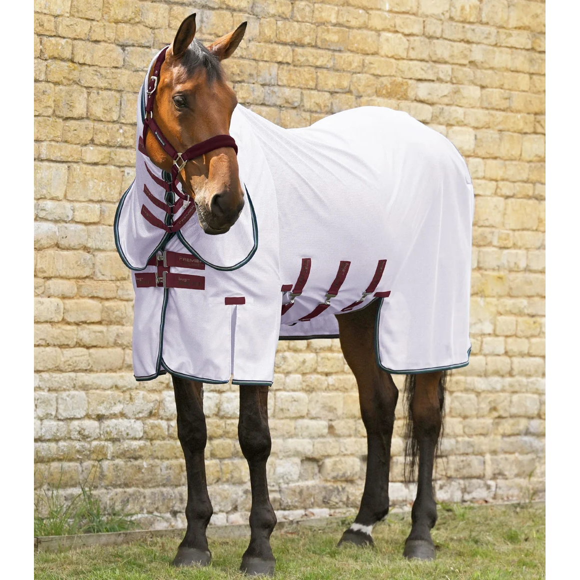 Combo Bug Buster Fly Rug with Belly Flap