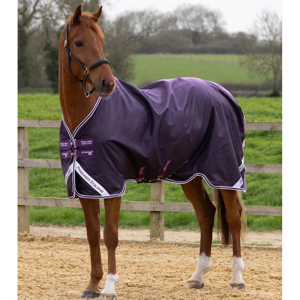 Stratus 600D Series 0g Original Turnout Rug