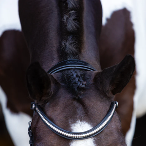 Santiago Bitless Bridle (No reins)
