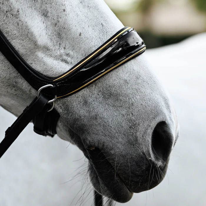 Skyla Bitless Bridle (No reins)