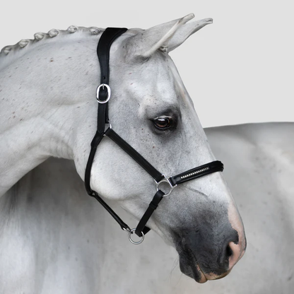 Perseus Leather Halter