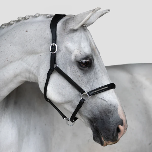 Perseus Leather Halter
