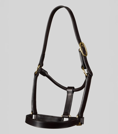 Yearling Headcollar 1" Dark Havana