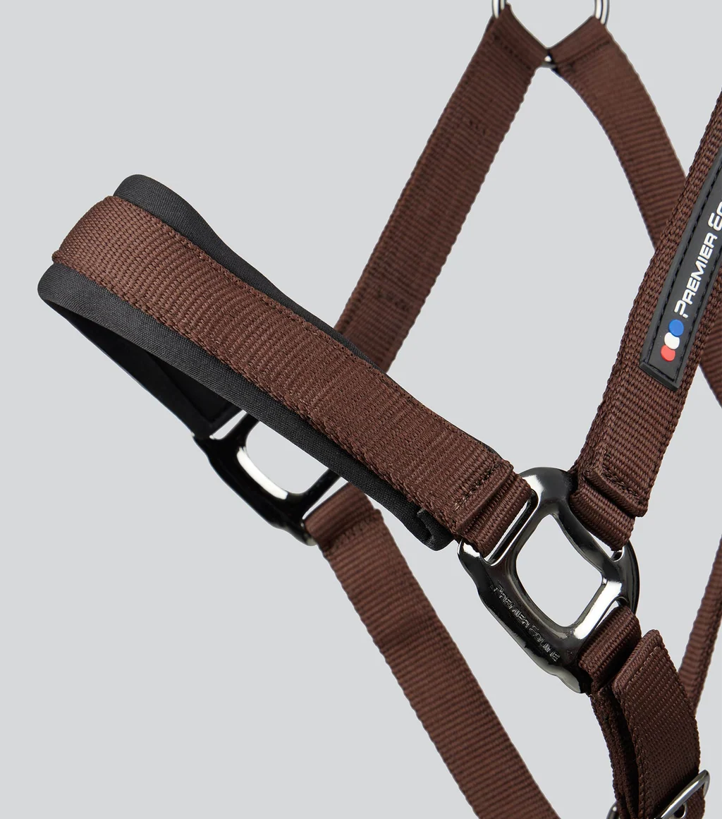 Corda Padded Head Collar with Lead Rope
