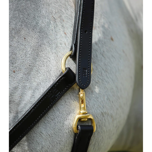 Pasco Plain Leather Head Collar