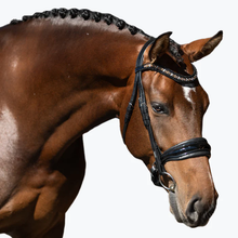 Load image into Gallery viewer, Ariana Bridle (Cavesson) (No reins)