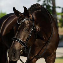 Load image into Gallery viewer, Saphira Bridle (Cavesson) (No reins)