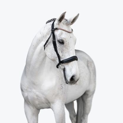 Madeline Rolled Leather Bridle (Cavesson) (No reins)