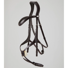 Load image into Gallery viewer, Glorioso Grackle Bridle (No reins)