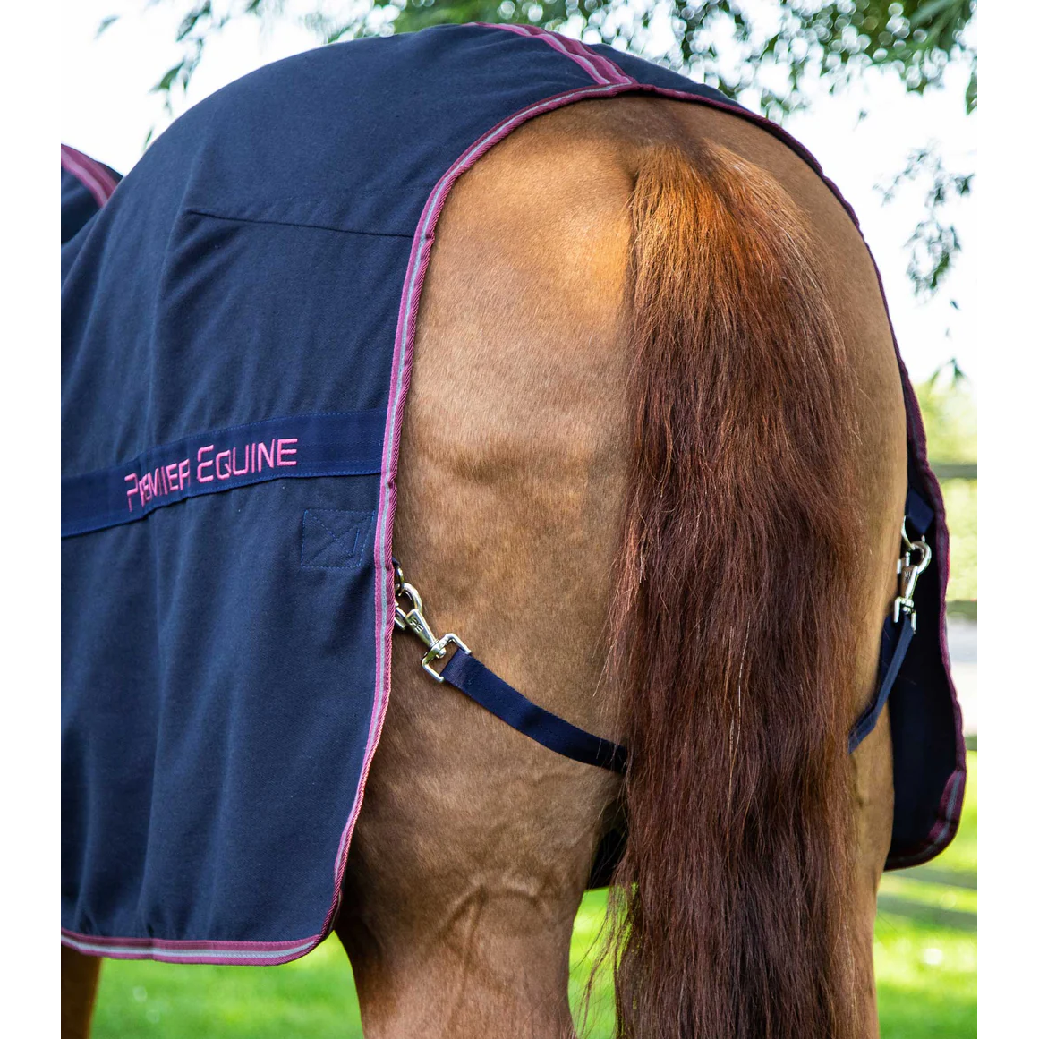 Barrasso Stable Sheet