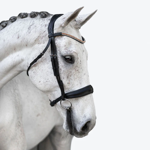 Madeline Rolled Leather Bridle (Cavesson) (No reins)
