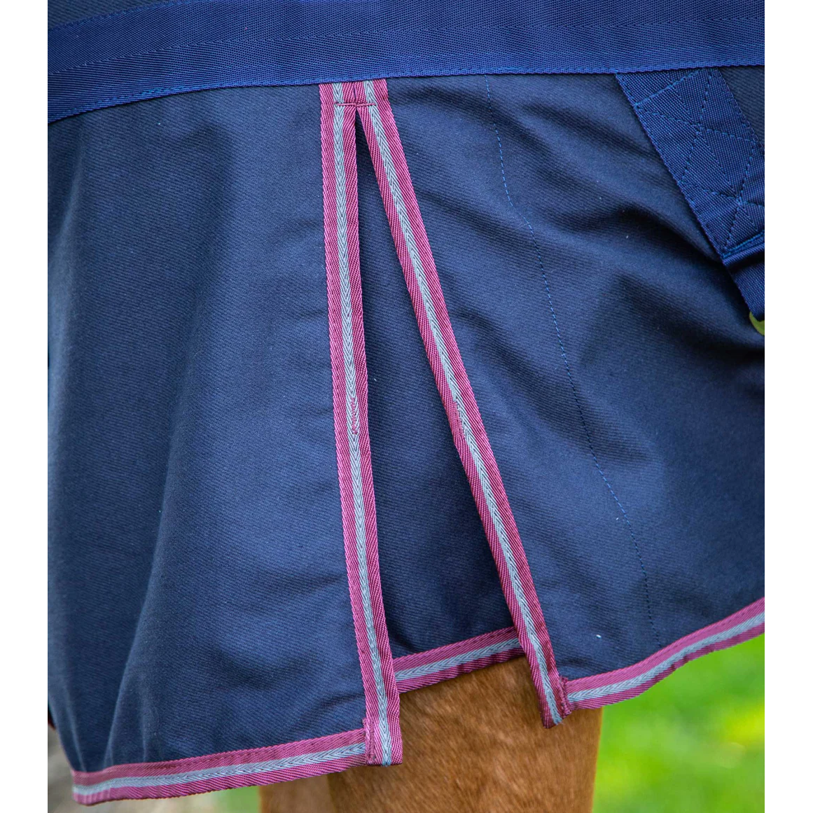 Barrasso Stable Sheet