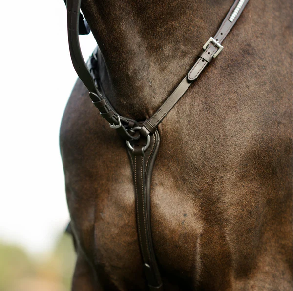 Perseus 3 Point Breastplate