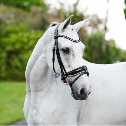Perla Bridle (Hanoverian) (No reins)