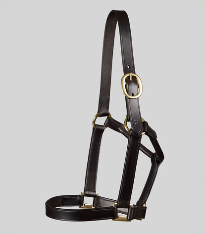 Yearling Headcollar 1" Dark Havana