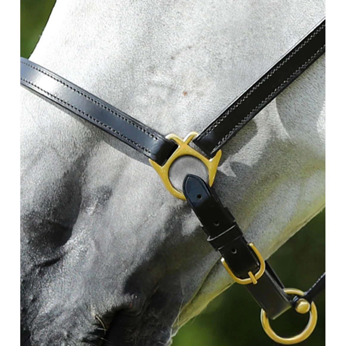 Pasco Plain Leather Head Collar