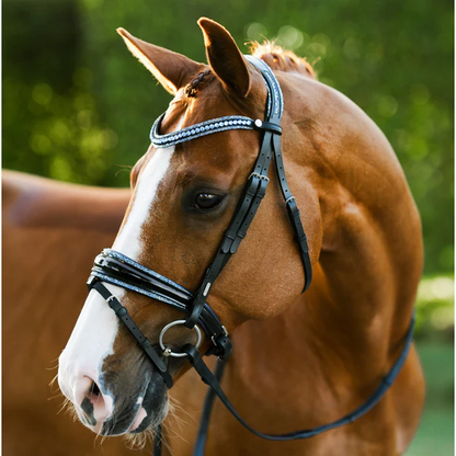 Paris Bridle (Hanoverian) (No reins)