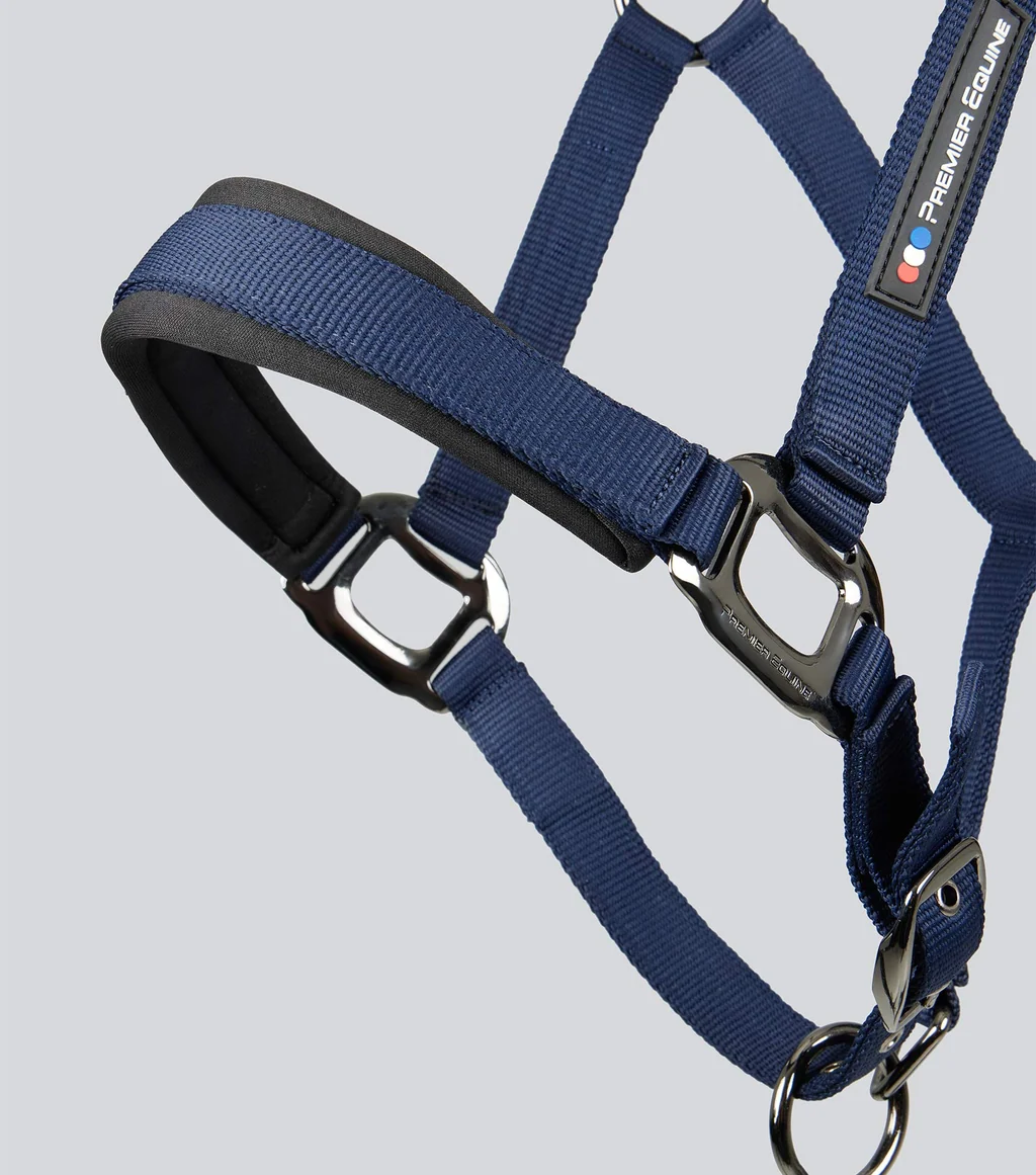 Corda Padded Head Collar with Lead Rope