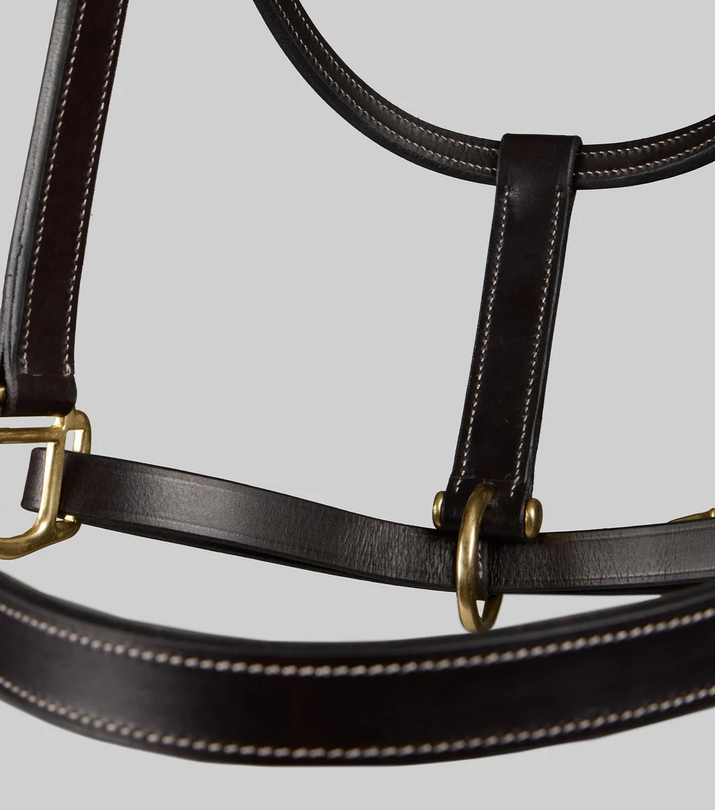 Traditional Leather Headcollar