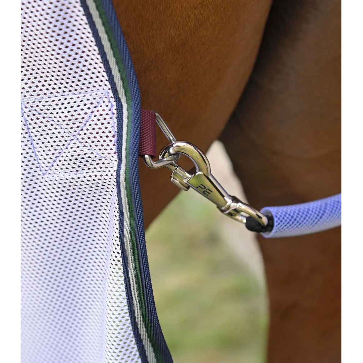 Combo Bug Buster Fly Rug with Belly Flap
