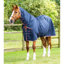Load image into Gallery viewer, Combo Dry-Tech Horse Cooler Rug