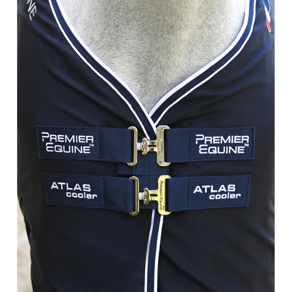 Atlas Horse Cooler Rug