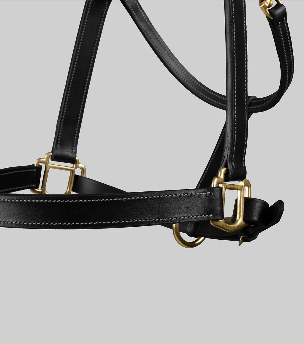 Traditional Leather Headcollar