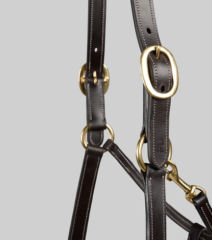 Traditional Leather Headcollar