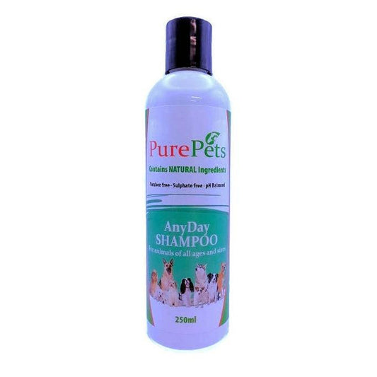 AnyDay Shampoo