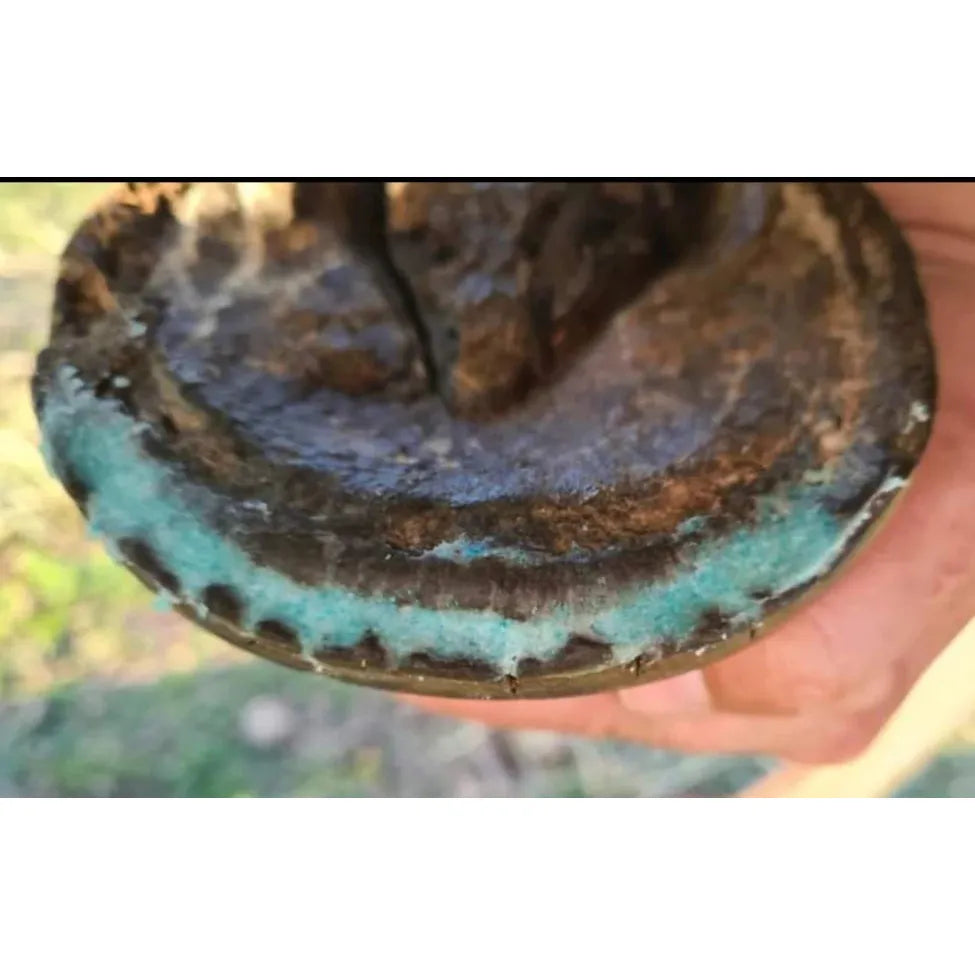 Beeswax Blue Balls®