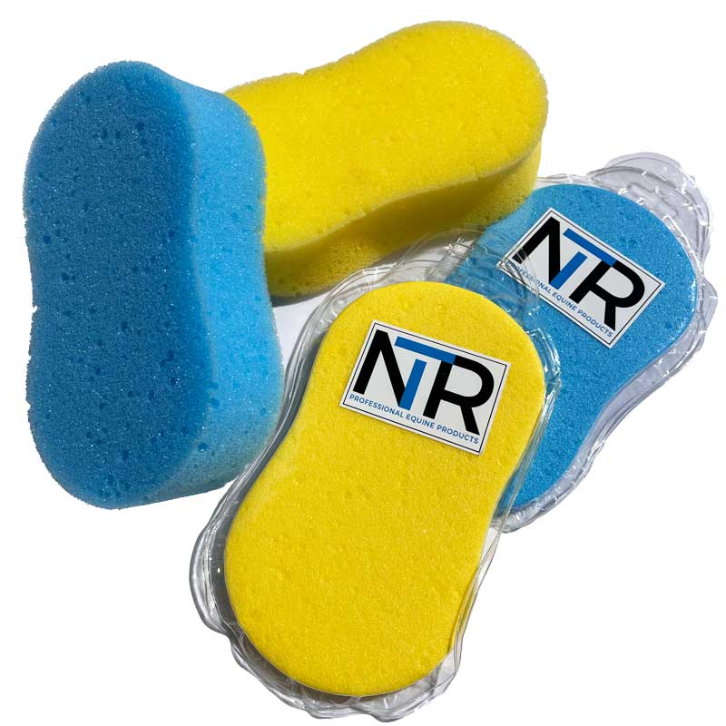 Ezi Sponge