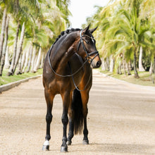 Load image into Gallery viewer, Megan Convertible Leather Bridle (No reins)