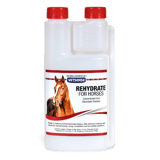 Rehydrate for Horses - 1 Litre
