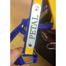 Load image into Gallery viewer, Horse Halter Nameplate