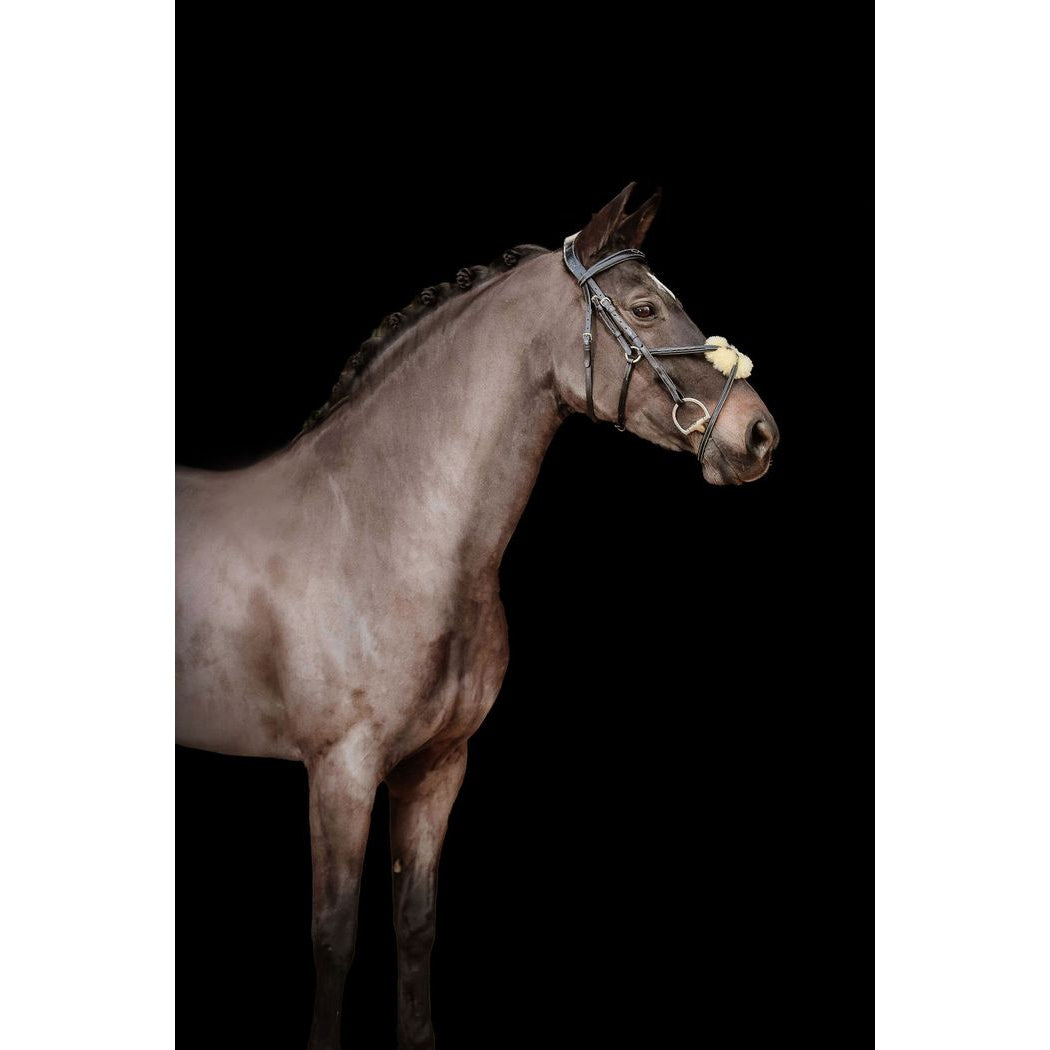 Ava Grackle Bridle (With Sheepskin) (No reins)
