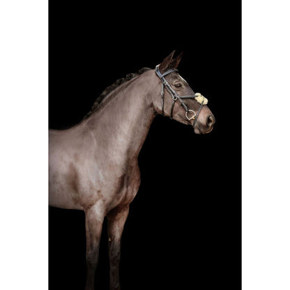 Ava Grackle Bridle (With Sheepskin) (No reins)