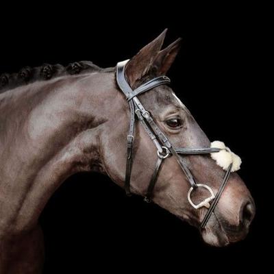 Ava Grackle Bridle (With Sheepskin) (No reins)