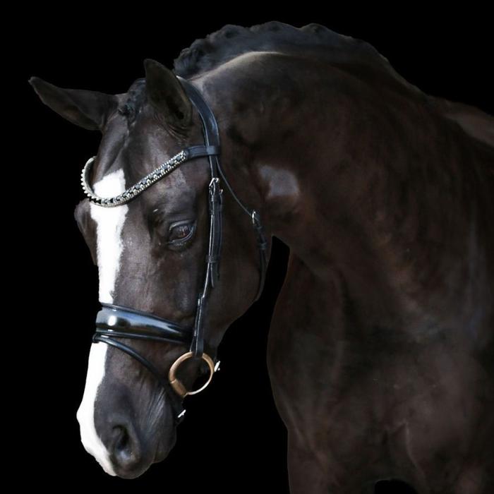 Audrey Rolled Leather Bridle (Hanoverian) (No reins)