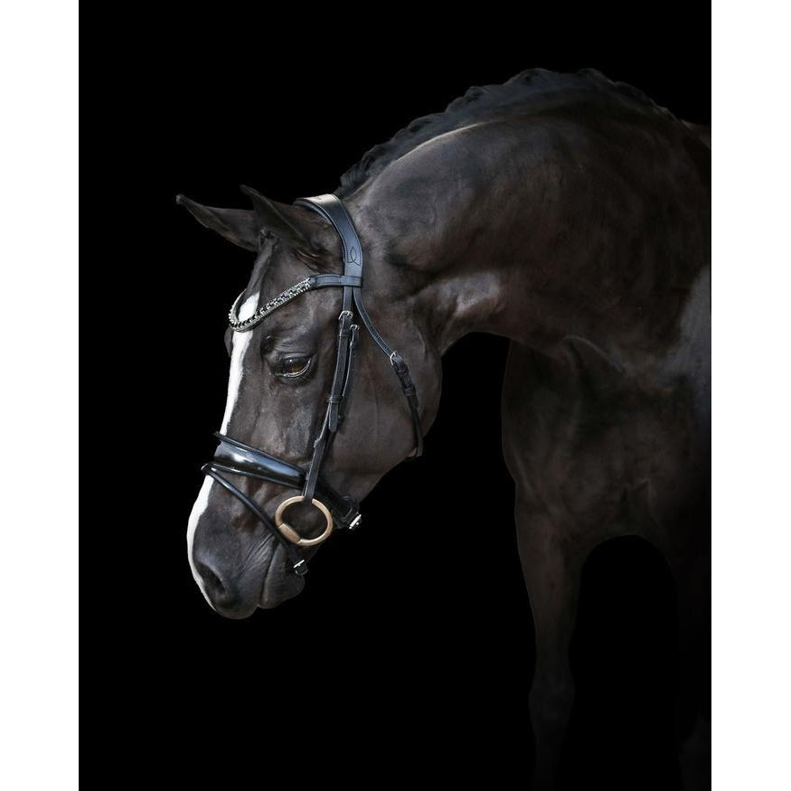 Audrey Rolled Leather Bridle (Hanoverian) (No reins)