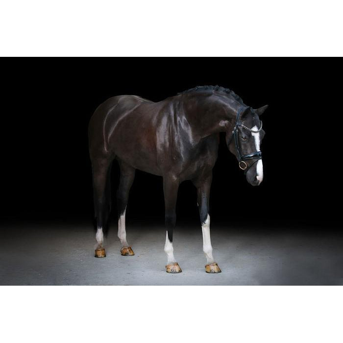 Audrey Rolled Leather Bridle (Hanoverian) (No reins)