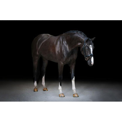 Audrey Rolled Leather Bridle (Hanoverian) (No reins)