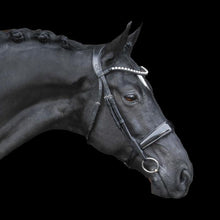 Load image into Gallery viewer, Alison Italian Leather Bridle (Cavesson)